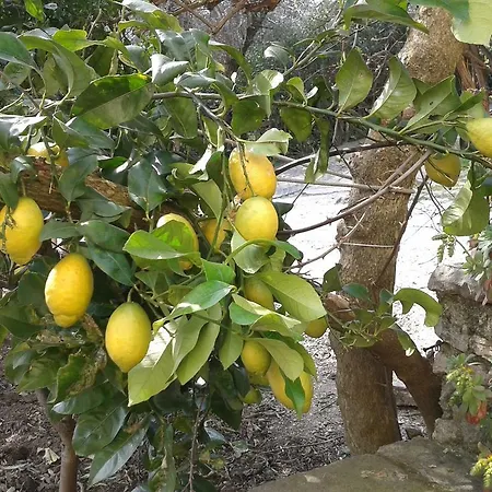 شقة فندقية La Limonaia غارنانو